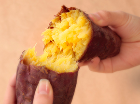 ショコラ熟成干し芋 冷蔵 の通販やギフト らぽっぽファーム公式通販 公式通販 らぽっぽファームオンラインストア