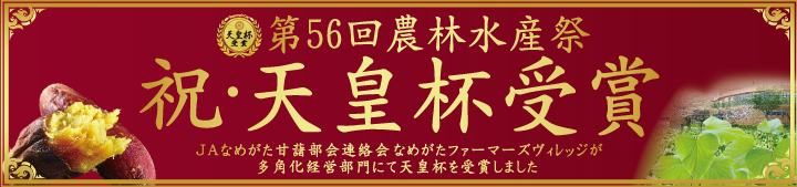 幻の熟成干し芋豪華3点セット