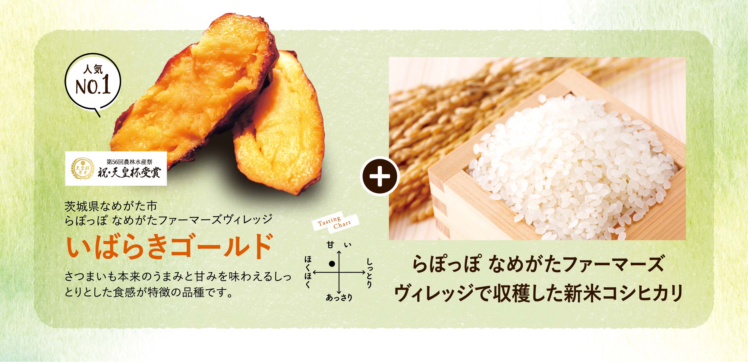 おいもさま専用 おつかいもの（14袋入）｜箱入り詰め合わせ｜│芋屋金次郎
