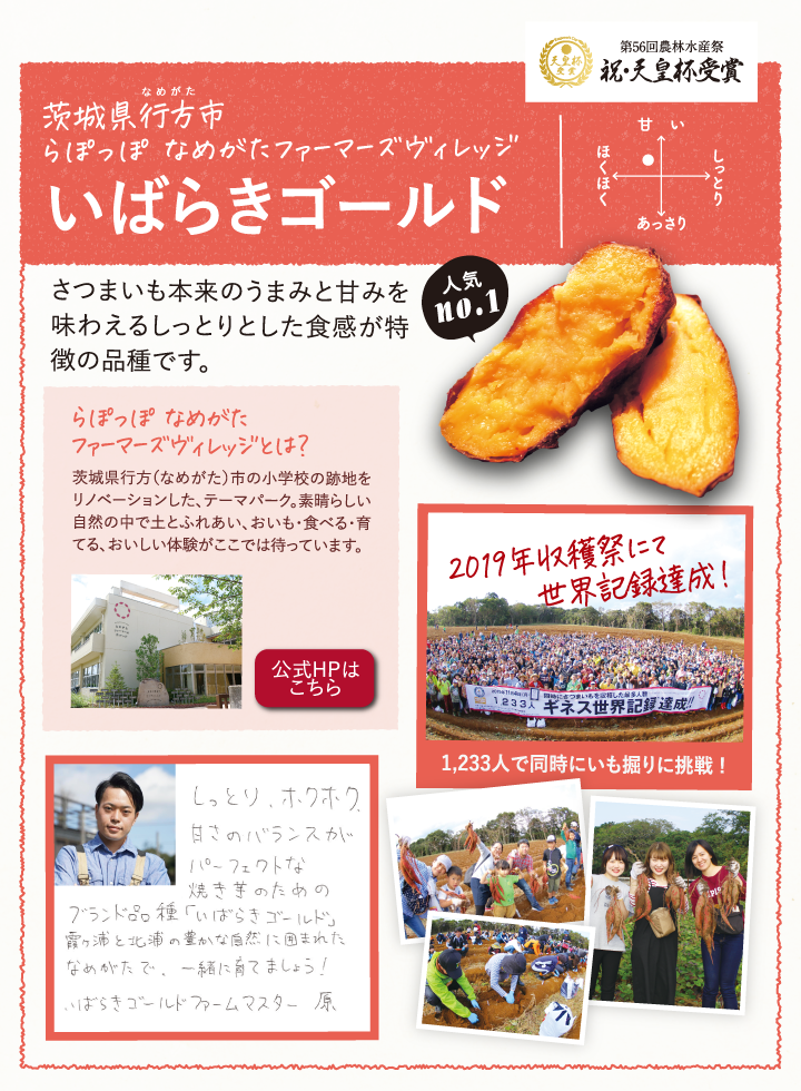 公式通販 らぽっぽファームオンラインストア 大学芋や焼き芋などのおいもスイーツ通販 Group