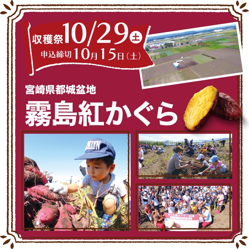 おいも株　オーナー制度2022