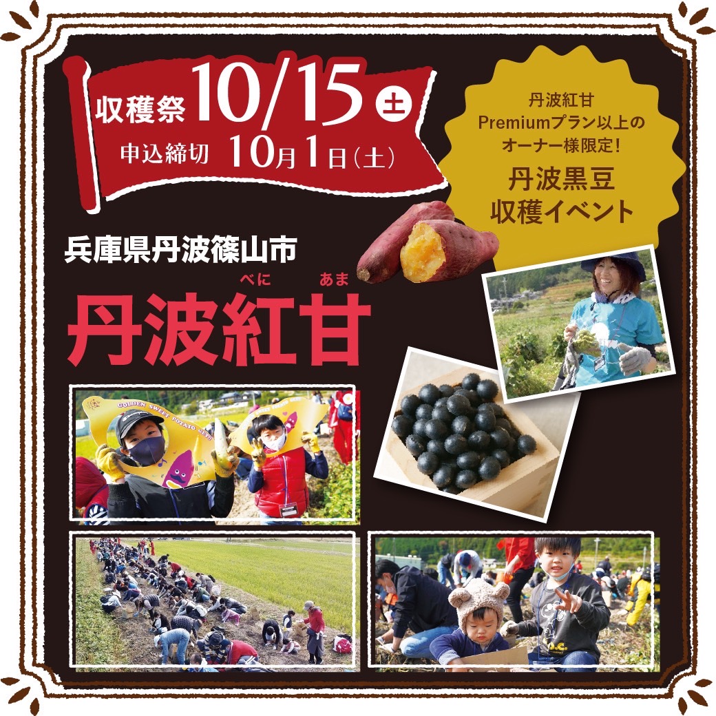 おいも株　オーナー制度2022