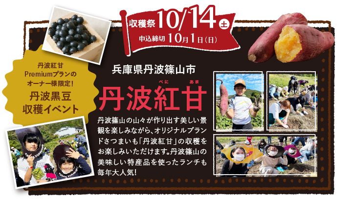丹波紅甘