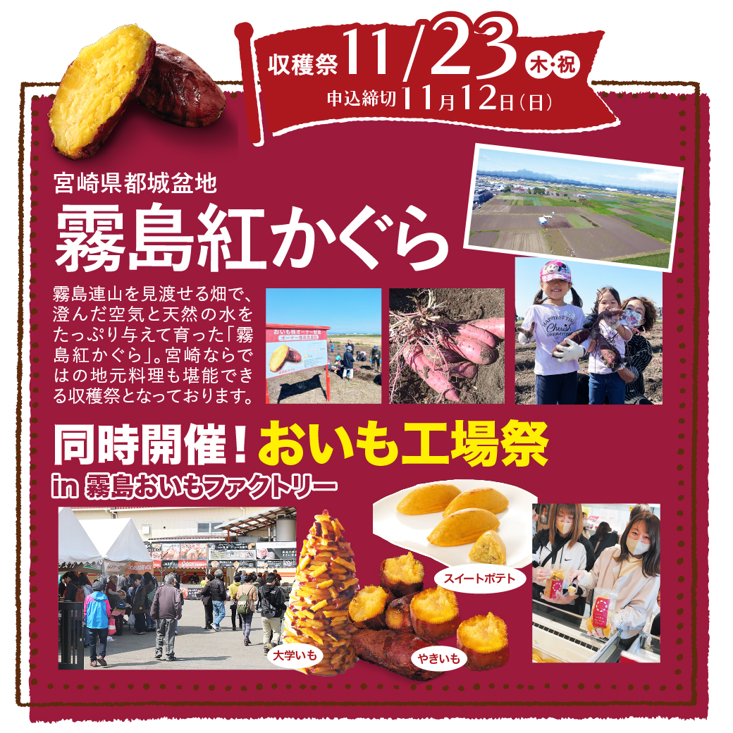 霧島紅かぐら