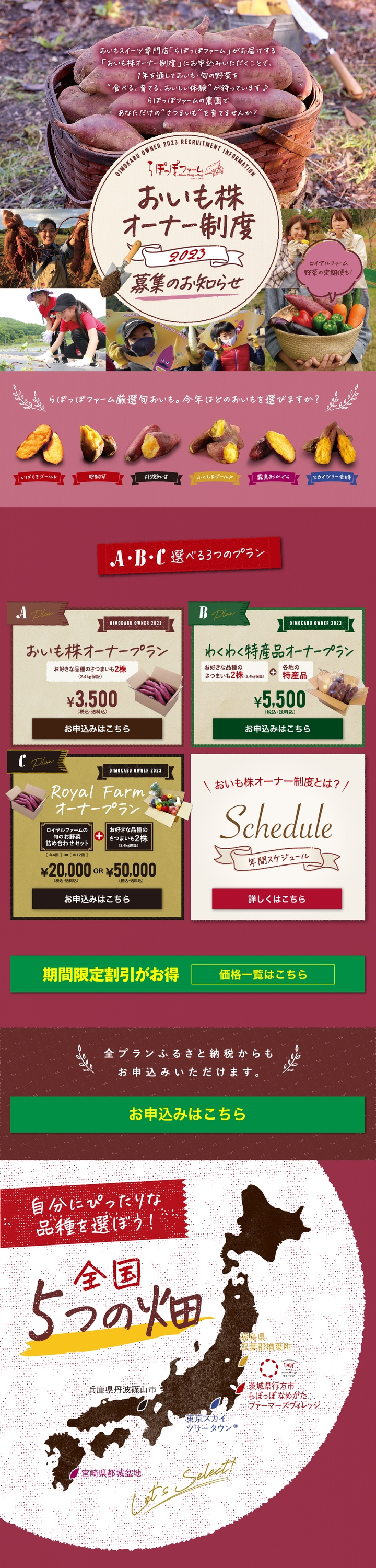 おいも株　オーナー制度2022