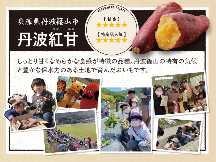 おいも株　オーナー制度2022