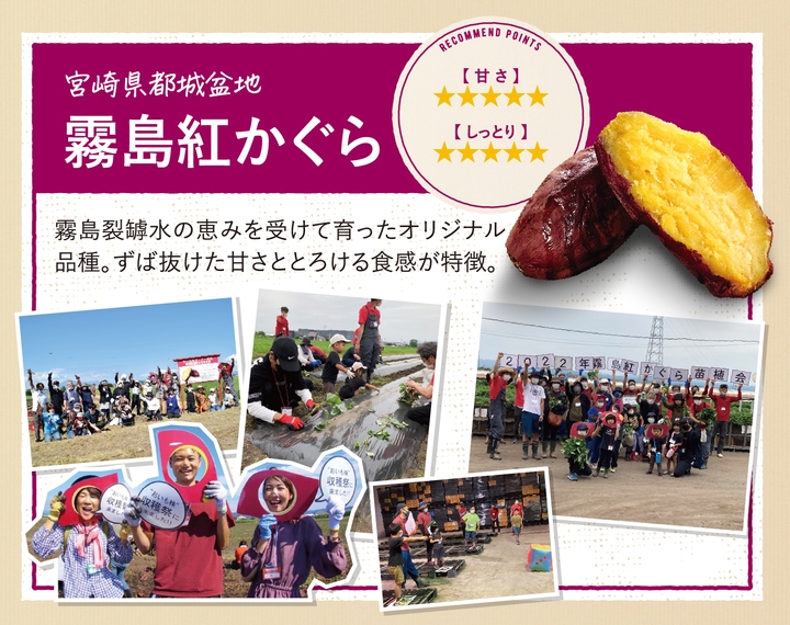 おいも株　オーナー制度2022
