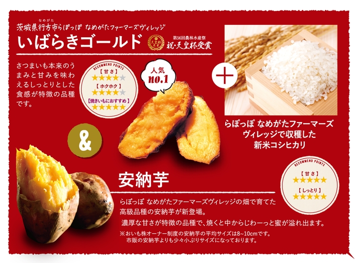おいも株　オーナー制度2022