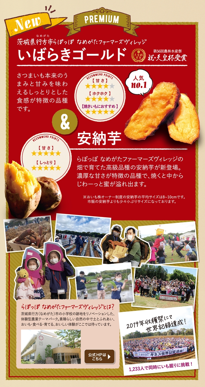 おいも株　オーナー制度2022