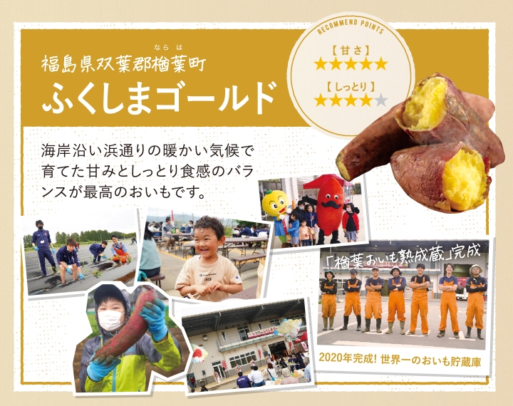 おいも株　オーナー制度2022