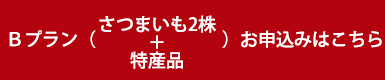 Bプランお申し込みはこちら