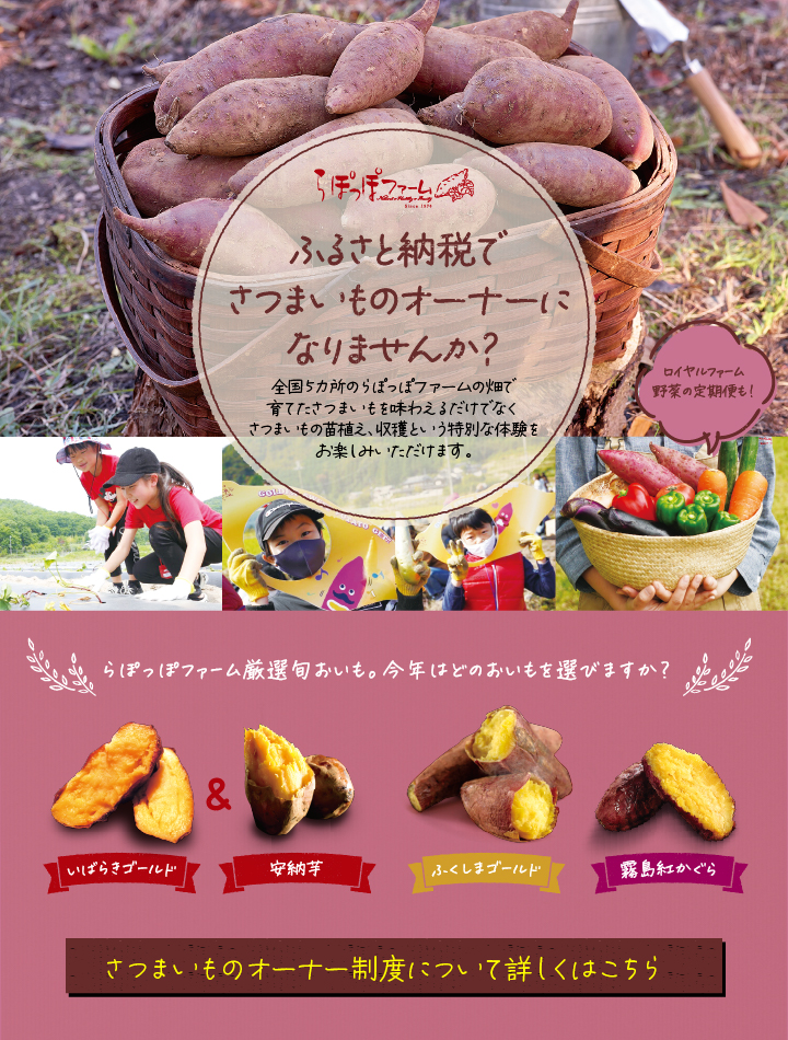 おいも株　オーナー制度2022