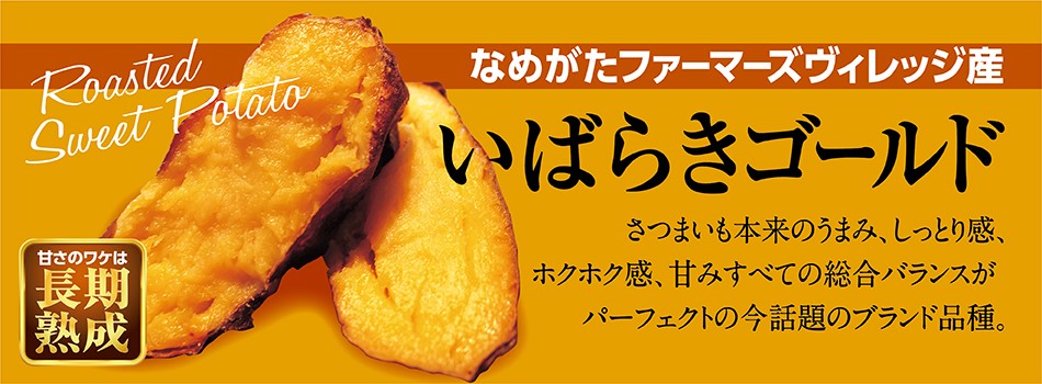 なめがたファーマーズビレッジ産 いばらきゴールド販売中！